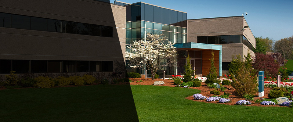 Spotsylvania Landscapers