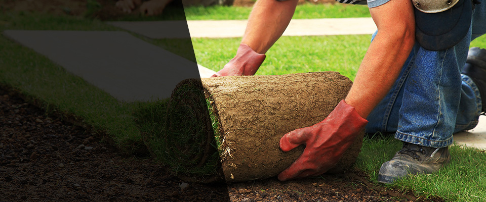 Spotsylvania Landscapers